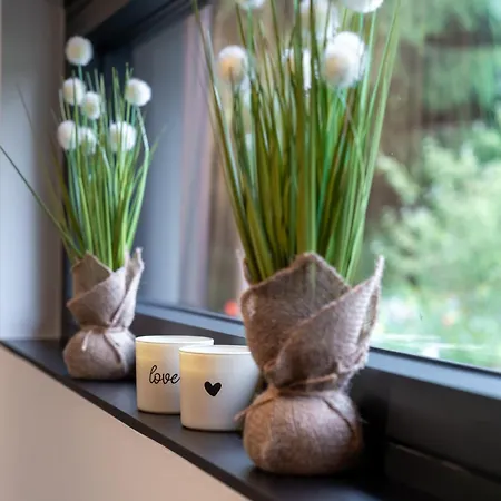 Lodge Nature Village - N°26 - 6 Personnes Bullange