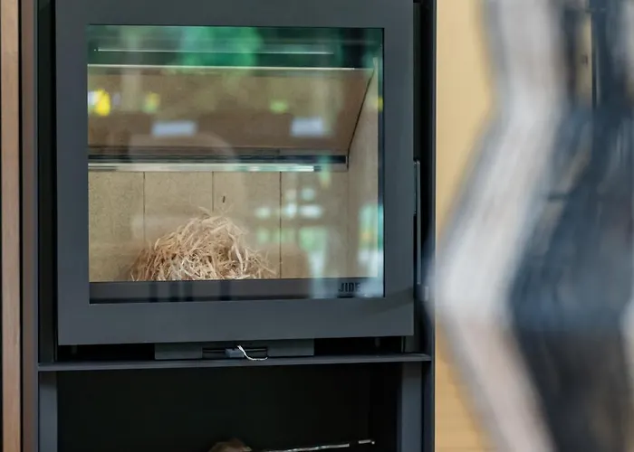 Nature Village - N°26 - 6 Personnes Lodge